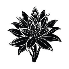 Tuberose Flower Silhouette Vector Illustration on White Background 