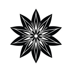 Edelweiss Flower Silhouette Vector Illustration on White Background