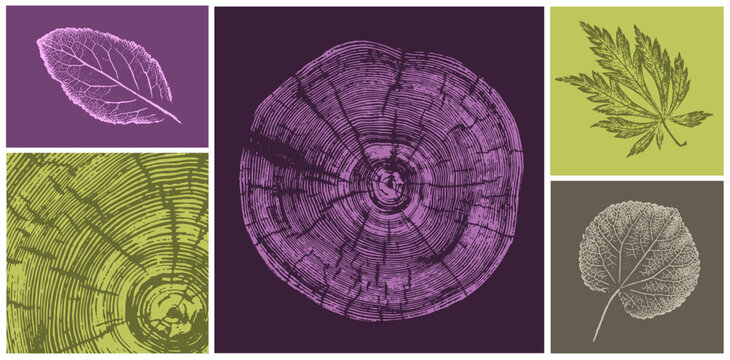 Deep plum tree rings and leaves printed for logo or decorations. Hand drawn line elegant leaves for invitation card. Botanical rustic trendy vector art. 