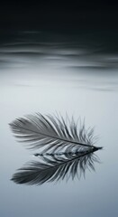 Obraz premium Serene Stillness: A Single Feather's Delicate Reflection on Tranquil Water