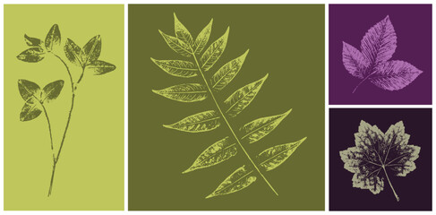 Set of hand drawn fern leaf botanical prints on various color swatches. Plant and flower art for card design or invitation.