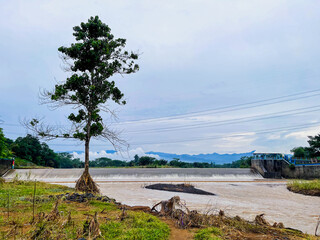 Tree with water gate in the background after flash flood
