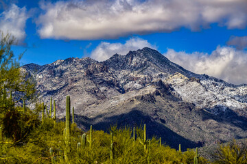 2023-12-31 SNOW COVERED SANTA CATALINA MOUNTAINS  WITH CACTUS IN THE FOREGROUND AND A NICE CLOUDY SKY OUTSIDE OF TUCSON ARIZONA