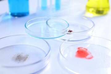 Petri dishes with samples on white background, closeup