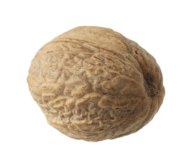 One whole nutmeg in air isolated on white