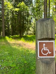 Unexpected Handicap Sign Surrounded by Green Forest on Wooden Post