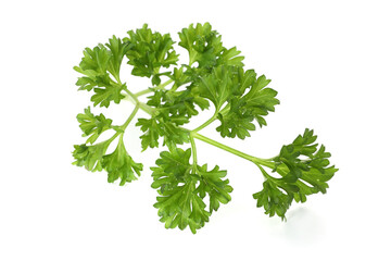 Sprig of fresh parsley isolated on white, top view