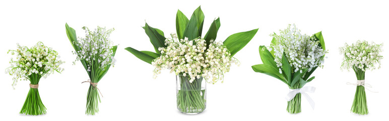 Aromatic bouquets of lily of the valley flowers isolated on white, collage