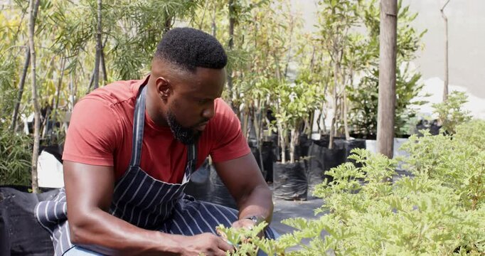 Gardener in apron tending to plants in outdoor nursery, smiling and focused, in greenhouse