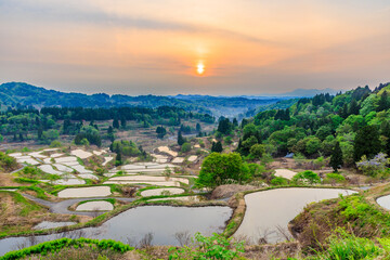 初夏の星峠の棚田と朝日　新潟県十日町市　Rice terraces and the morning sun at...