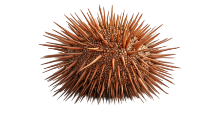 Spiked sphere. Pointed projections on textured, beige surface