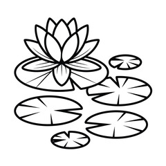 Black and White Lotus Flower and Leaves © MDMINTU