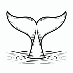 Obraz premium Vintage Whale Tail Illustration