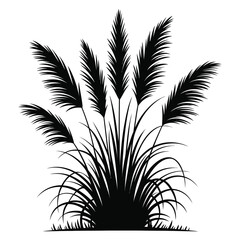 Silhouette of Decorative Grass