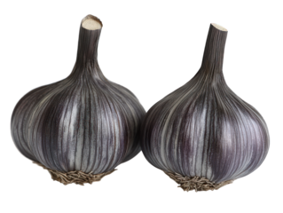 Two whole black garlic bulbs, close-up