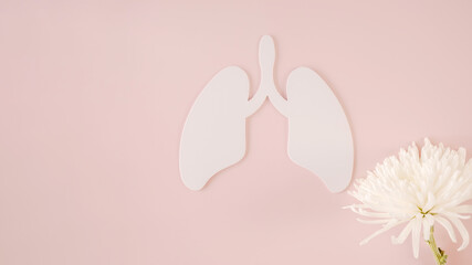 Lung model and flower on pink background, world tuberculosis tb day, world no tobacco day, lung...