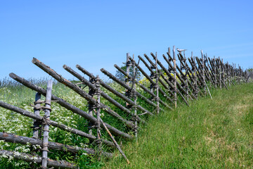 An old wooden fence around a field with meadow flowers and a seagull sitting on it on Kizhi Island in Karelia