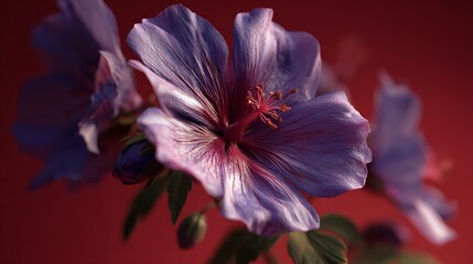 Close up of purple lilies