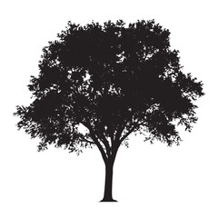 Fototapeta premium Artistic Ink Ash Tree Silhouette