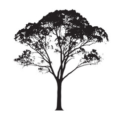 Ash Tree Template Vector Silhouette