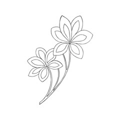 Obraz premium flower outline 