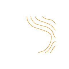 Obraz premium topographic lines