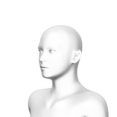 3d rendered model of a human head, transparent png available
