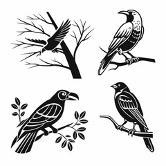 Professional bird silhouettes on branches isolated cutouts