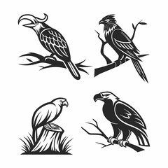 Professional bird silhouettes set isolated on white