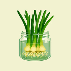 Regrowing Green Onions in Water.eps