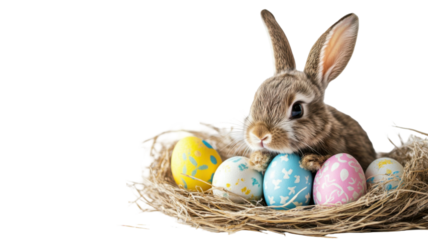 Cute Bunny Sitting on Colorful Easter Eggs Isolated on White Background