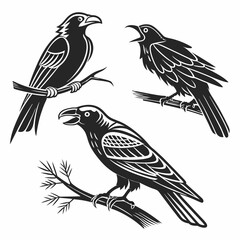 Three black crows perched on branches illustration