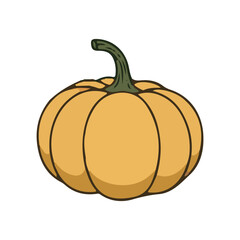 pumpkin isolated on white background