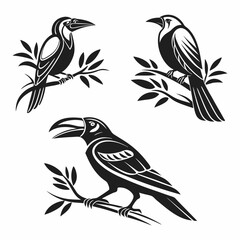 Three professional bird cutouts isolated on white
