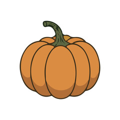 pumpkin on white background