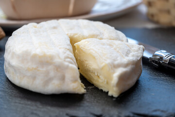 French dauphinois cheeses collection, Saint-Marcellin, creamy Saint- Felicien cow's milk cheese with white mold from Rhône-Alpes region of France