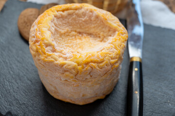 French Langres soft cows crumbly cheese with washed rind structure made in Champagne - Ardenne region
