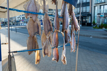 Dtied on air or salted stock fish on sea promenade in Oostende, Belgium