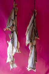 Dtied on air or salted stock fish on sea promenade in Oostende, Belgium