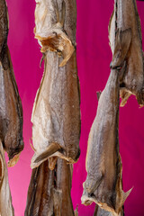 Dtied on air or salted stock fish on sea promenade in Oostende, Belgium