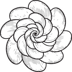 Detailed Fibonacci Spiral Flower or Succulent Bloom with Textured Petals - Ideal for Nature, Sacred Geometry, and Decorative Art
