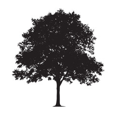 Stylized Botanical Ash Tree Art