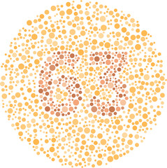 Color Blindness Test