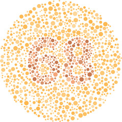 Color Blindness Test