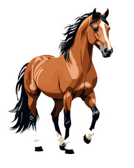 Fototapeta premium A black stallion horse or mustang silhouette, this equine vector illustration shows the wild animal running with a flowing mane and tail