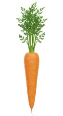 Hyper-Realistic 3D Render of a Whole Fresh Orange Carrot on White Background