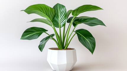 Lush Green Plant in Modern Geometric White Pot for Home Decor