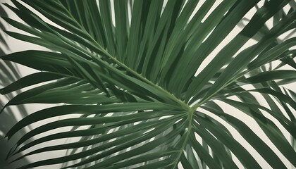 A close-up of a palm tree's green leaves, capturing summer's essence and intricate textures in the backdrop