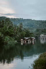 Fototapeta premium Wooden boats floating on the water of the Loboc River surrounded by lush greenery and palm trees outdoor during sunset on Bohol island in the Philippines in Asia.