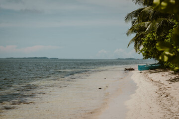 Summer background of tropical lush greenery and palm trees outdoor at daytime on a deserted beach with clear blue ocean water on Siargao island while traveling in the Philippines in Asia.